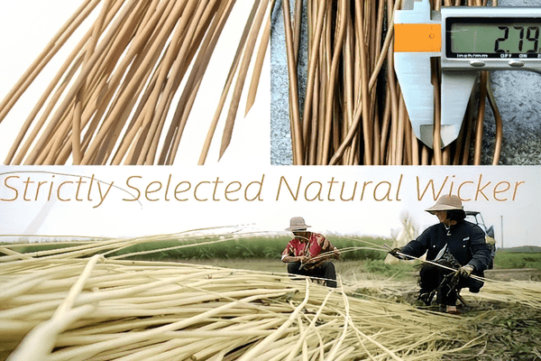 1. Selezione dei Materiali