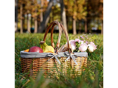 Cesti da Picnic Isolati in Vimini Blu e Bianco Cesto per Bambini Rosa Perfetto