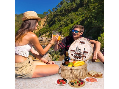 Piccolo Cestino da Picnic Rts per Stoccaggio con Maniglia Servizio per 4 Forma Casa